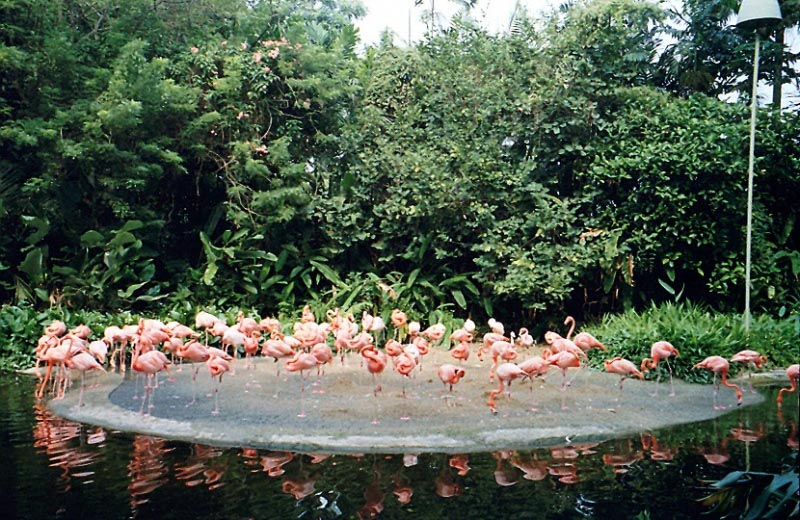 ३० ऑक्टोबर - दहावा दिवस