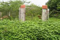 மன்னார் சொன்ன யோசனை