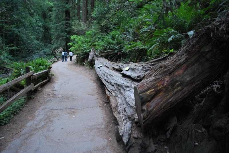 திரட்டி.காம் நட்சத்திரப் பதிவு : காலயந்திரம்