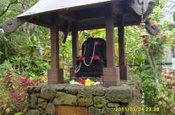 पुन्हा हवाई - भाग ३ (कवाईचे हिन्दु मंदिर)