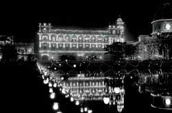 চ্যাপ্টা গোলাপ 