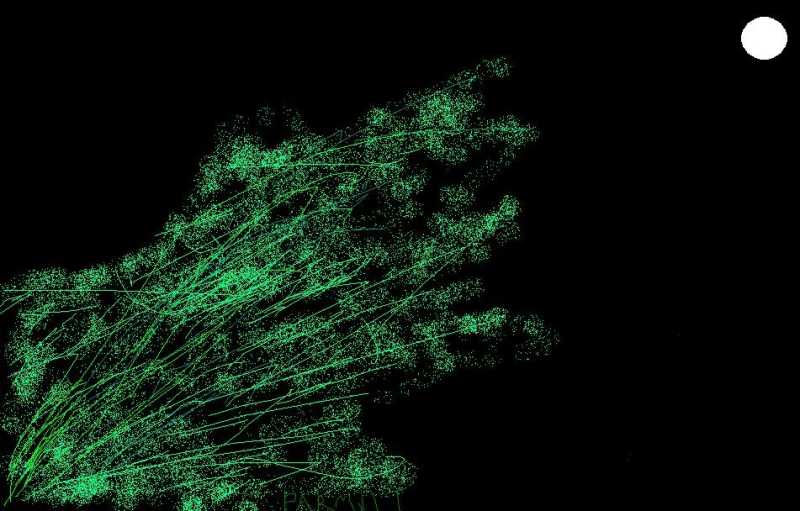 डायरी के पन्नें....५