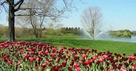 जिन्दगी