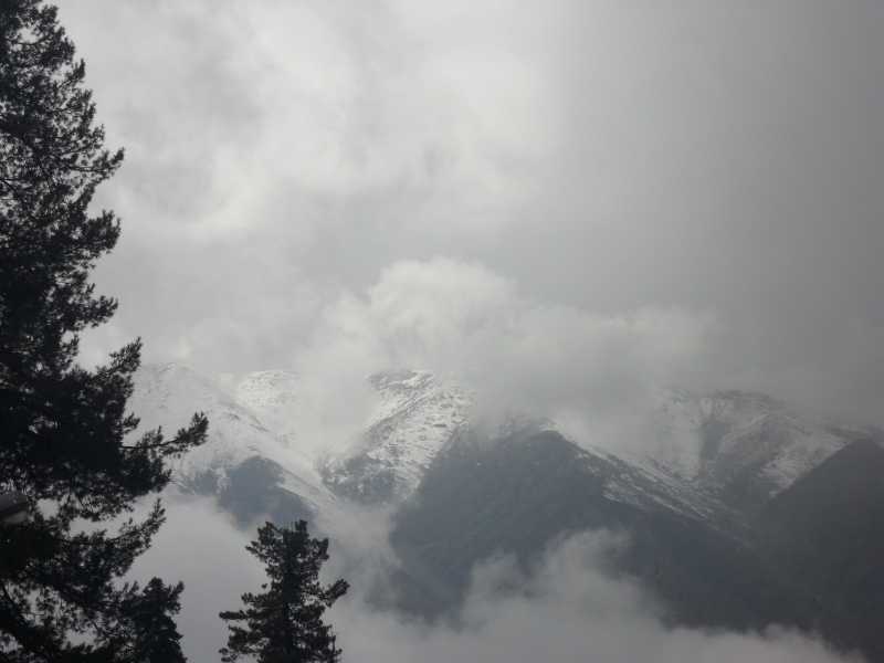 भूल गया हूँ! अपने आप को