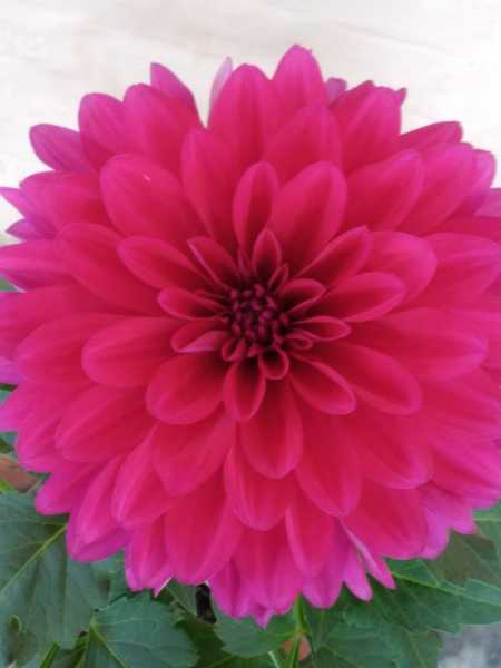 चक्रव्यूह