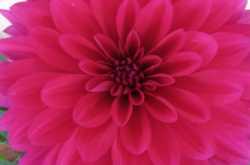 चक्रव्यूह