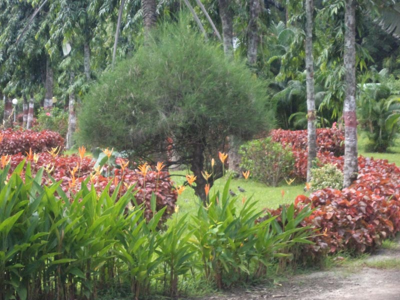 अतुल्य भारत