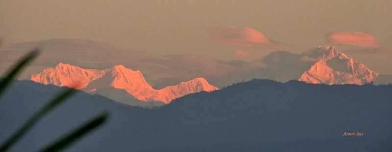 জন্মদিনে 