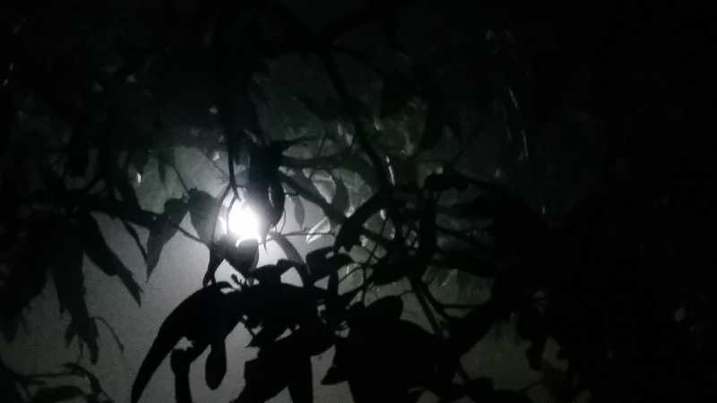 à¤à¤¿à¤à¤¦à¤à¥ à¤à¤° à¤à¥à¤¹à¤¾à¤¸à¤¾