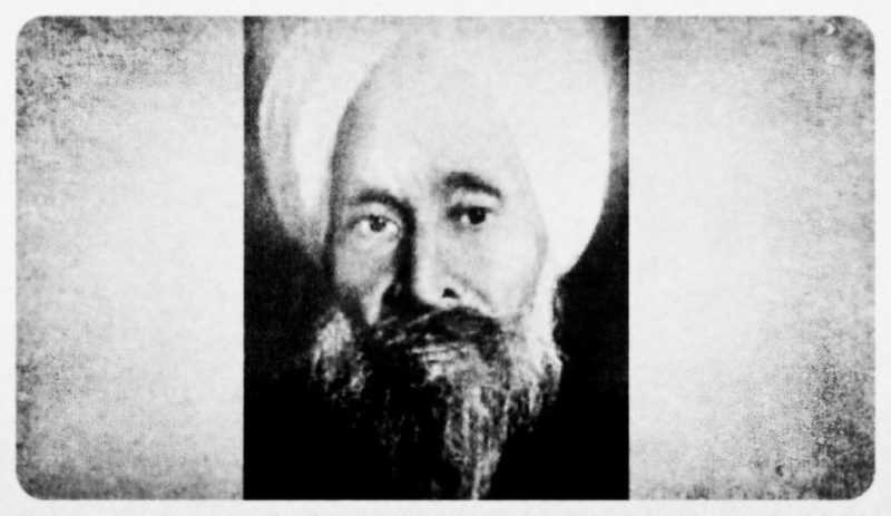 बाल कविता: 