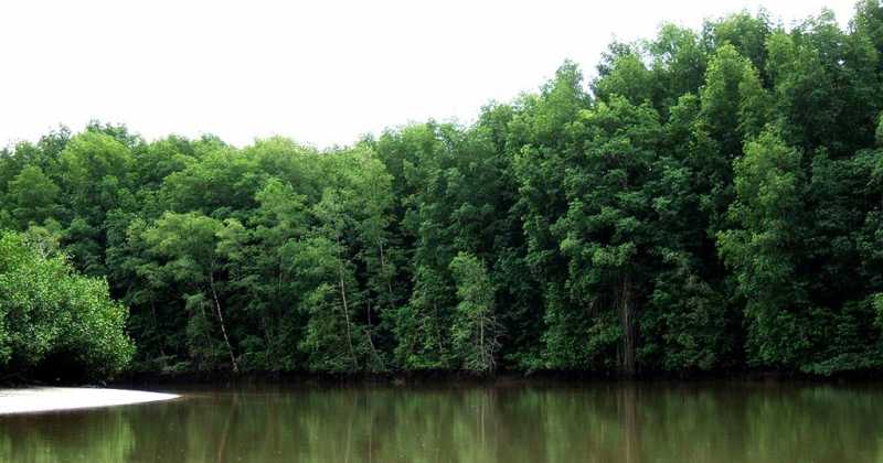 नभ धूराने आक्रमिले!