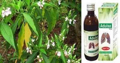 à¤µà¤¾à¤¸à¤¾ (à¤à¤¡à¥à¤¸à¤¾) à¤à¤¾ à¤à¤ªà¤¯à¥à¤, à¤«à¤¾à¤¯à¤¦à¥ à¤à¤° à¤à¤°à¥à¤²à¥ à¤¨à¥à¤¸à¥à¤à¥