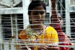 वटपौर्णिमा - जन्माचा फेरा