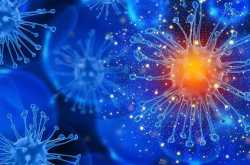 दिल्ली श्मशान और कब्रिस्तान के लिए नई जगहों की तलाश: क्या सरकार मानती है कि मौतों का आंकड़ा बढ़ेगा 