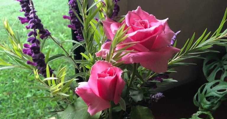 బ్లాగ్ 12వ వార్షికోత్సవ వేళ... 