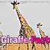 जिराफ़ से जुडी अनोखी रोचक जानकारी और तथ्य 15 Amazing Facts About Giraffe In Hindi
