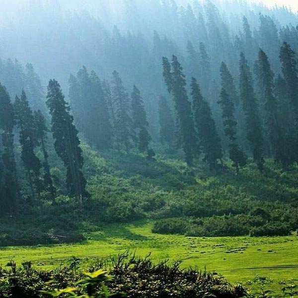 दूधपत्री – दुनिया देखो