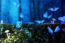 “મેં જોયા છે”5 min read