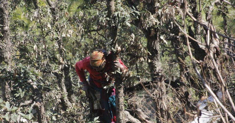 अंर्तराष्‍ट्रीय महिला दिवस - 8 मार्च 