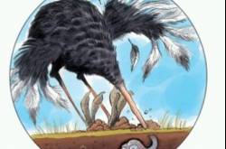 à¤¸à¤°à¥à¤µà¤¾à¤à¤à¤² à¤à¥à¤à¤¸à¤° â CIN à¤¯à¤¾ à¤ªà¥à¤°à¥à¤µà¤à¥à¤à¤¸à¤°