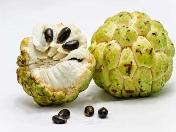 సీతాఫలము (Custard Apple)
