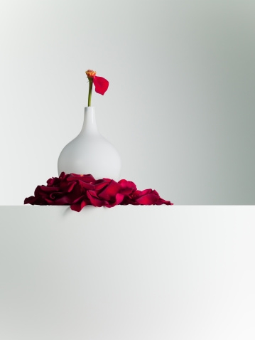 #Foodmarriage #Fatalambition