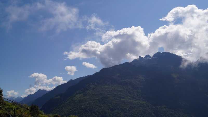 “Godliness In Greenery”