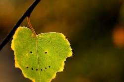 à¤à¤¹à¤¾à¤ à¤¹à¥à¤ à¤à¥à¤¶à¤¿à¤¯à¤¾à¤?  How to be happy