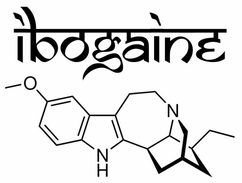  Ibogaine Therapy And The Opioid Epidemic