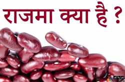 राजमा (Kidney Bean) क्या है ? राजमा के फायदे और नुकसान | राजमा के प्रकार | हिंदी से हेल्प