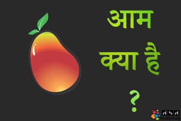 आम (Mango) क्या है ? आम खाने के फायदे और नुकसान | कच्चे आम के फायदे और नुकसान