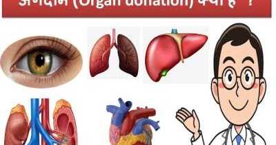 à¤à¤à¤à¤¦à¤¾à¤¨ (Organ Donation) à¤à¥à¤¯à¤¾ à¤¹à¥à¤ ? 