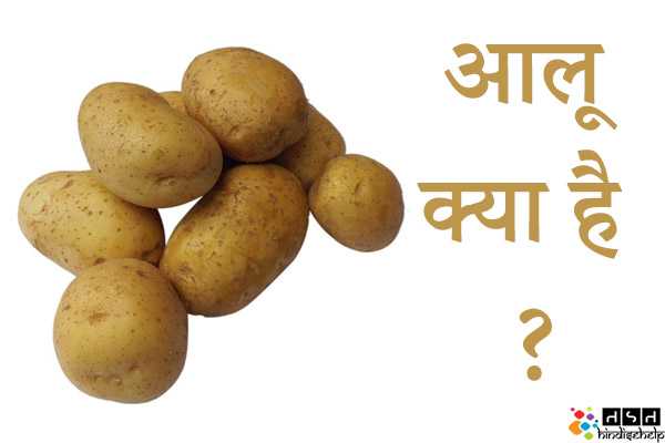 आलू (Potato) क्या है ? आलू के फायदे और नुकसान | आलू के औषधीय गुण