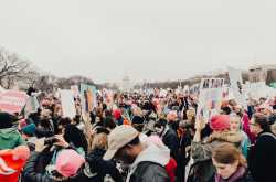 Pseudo-democracy and Active Citizenship •