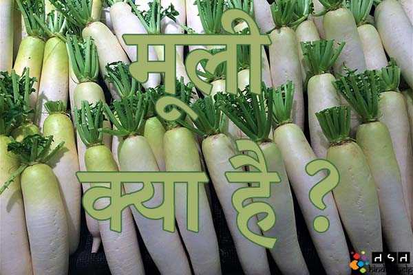 मूली (Radish) क्या है ? मूली के फायदे और नुकसान | मूली खाने का सही समय | हिंदी से हेल्प