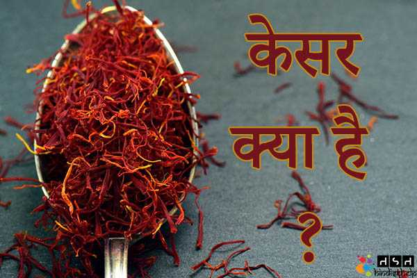 केसर (Saffron) क्या है ? केसर का उपयोग कैसे करें ? | केसर के फायदे और नुकसान