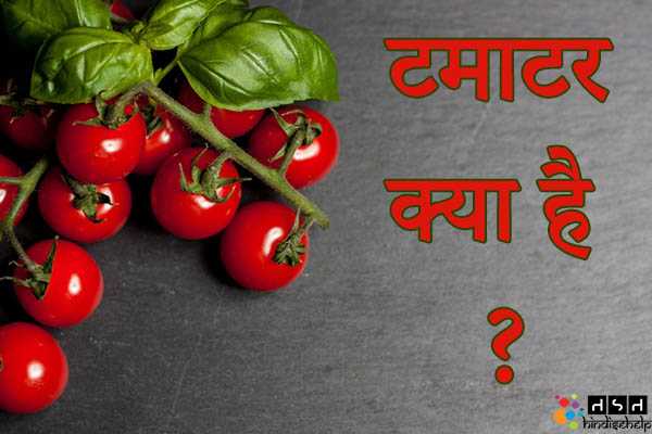 टमाटर (Tomato) क्या है ? टमाटर खाने के फायदे और नुकसान | खाली पेट टमाटर खाने के फायदे