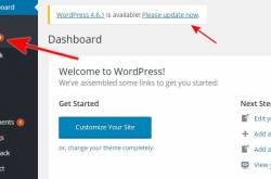 1 Click Solutions - How to Upgrade WordPress to the Latest Version Easily?
