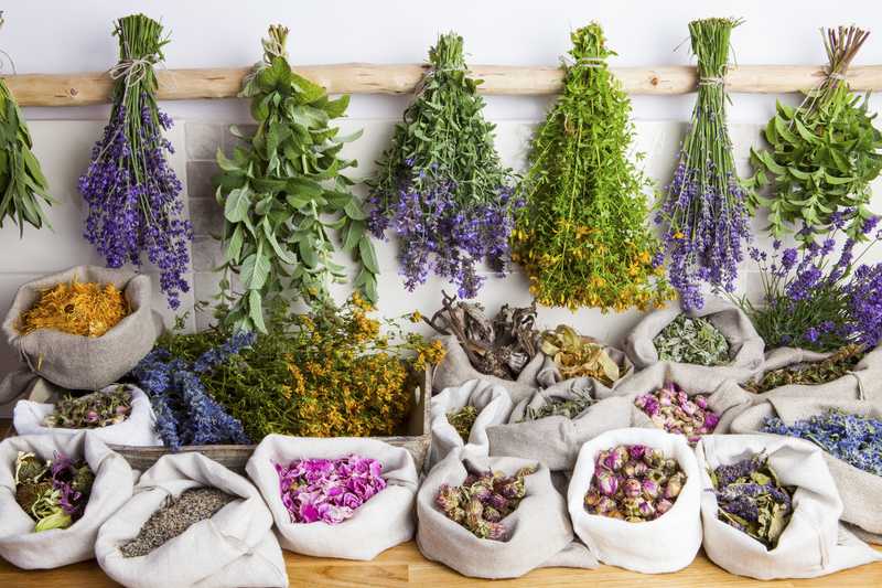 10 Amazing Herbs For Healthy Living - Jhollowell.com