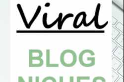 10 Blog Niches That Get Good Traffic and Make Good Money: Viral Blog Niches