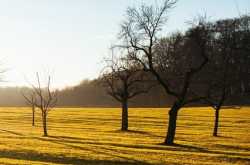 10 Reasons Why You Should Not Work Out