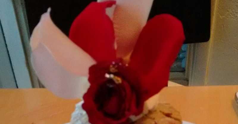 10 Things I Learned From My 20s