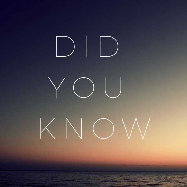 101 Surprising Facts You Should Know - Jen Stories