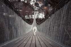 14 Tips For Safe Road Travel With Your Dog