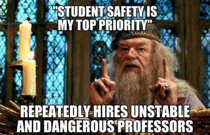 17 Harry Potter Memes That Are Hilarious And Funny!