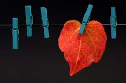 17. Someone Take It Away