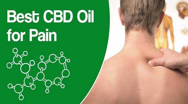 20 Popular CBD Oils For Pain Management (An Honest Buying Guide)