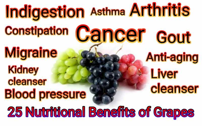 25 Nutritional Benefits Of Grapes