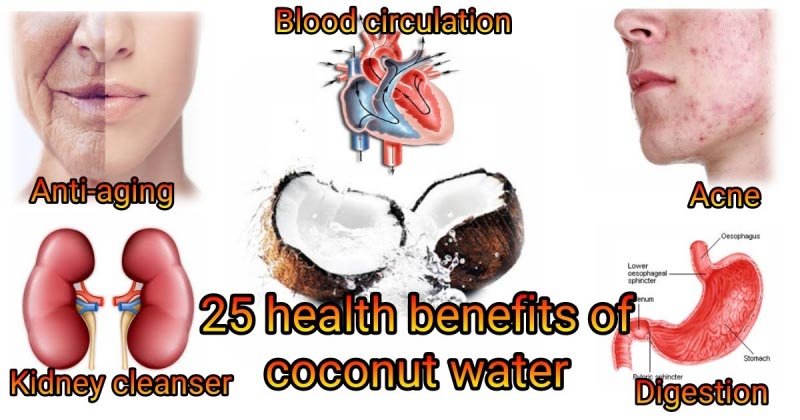 25 Benefits Of Coconut Water For Health