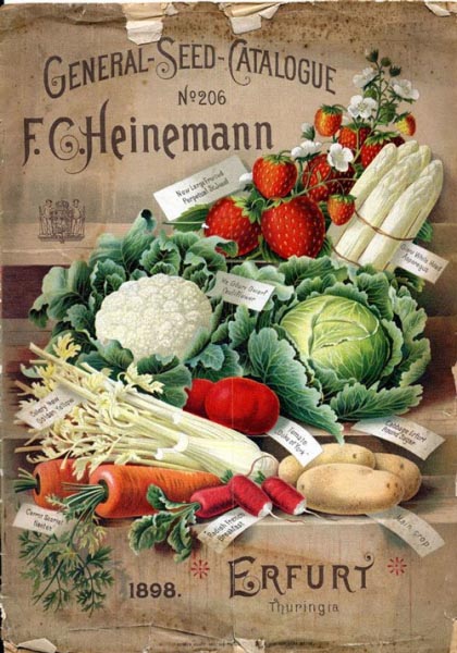 35 Heirloom Seed Suppliers